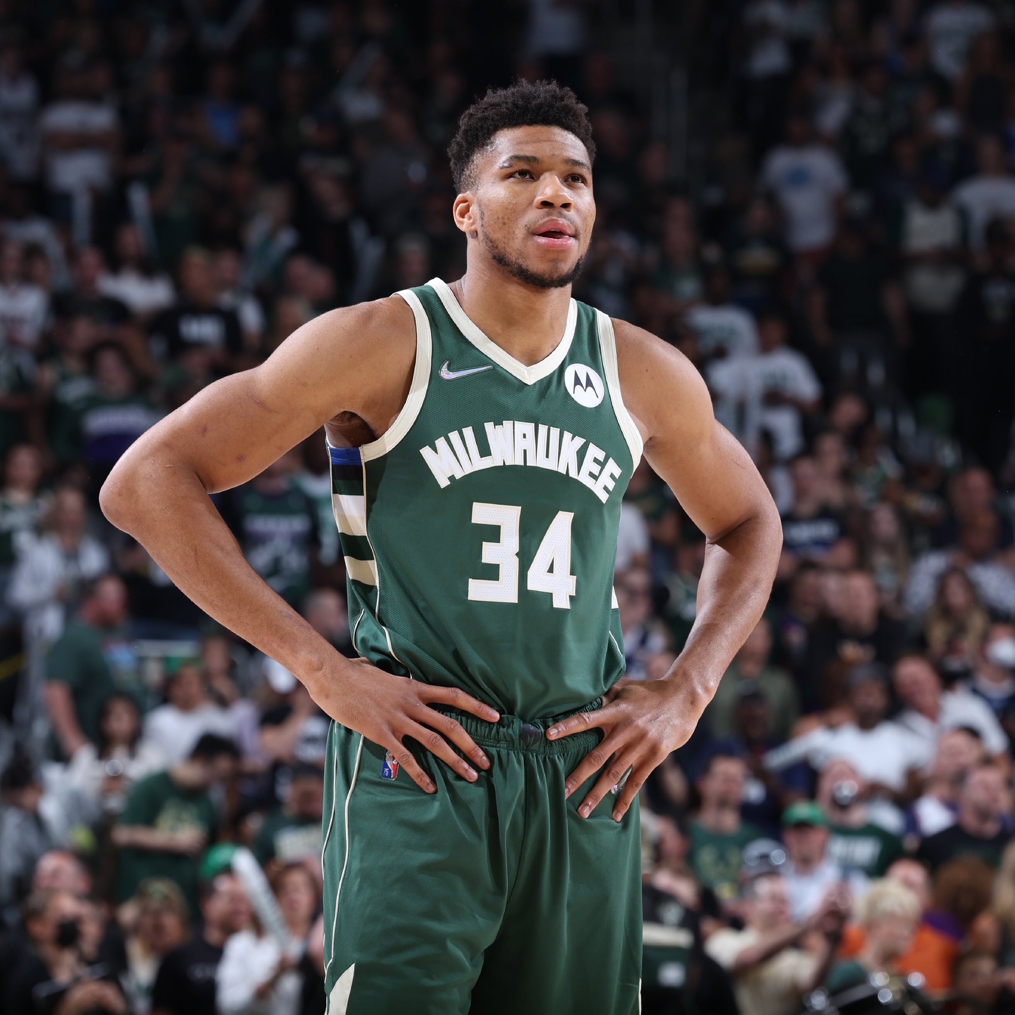 负于作弊队 负于作弊队